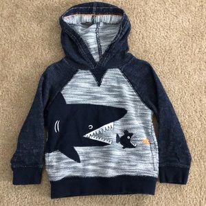 Toddler Boys Hooded sweatshirt